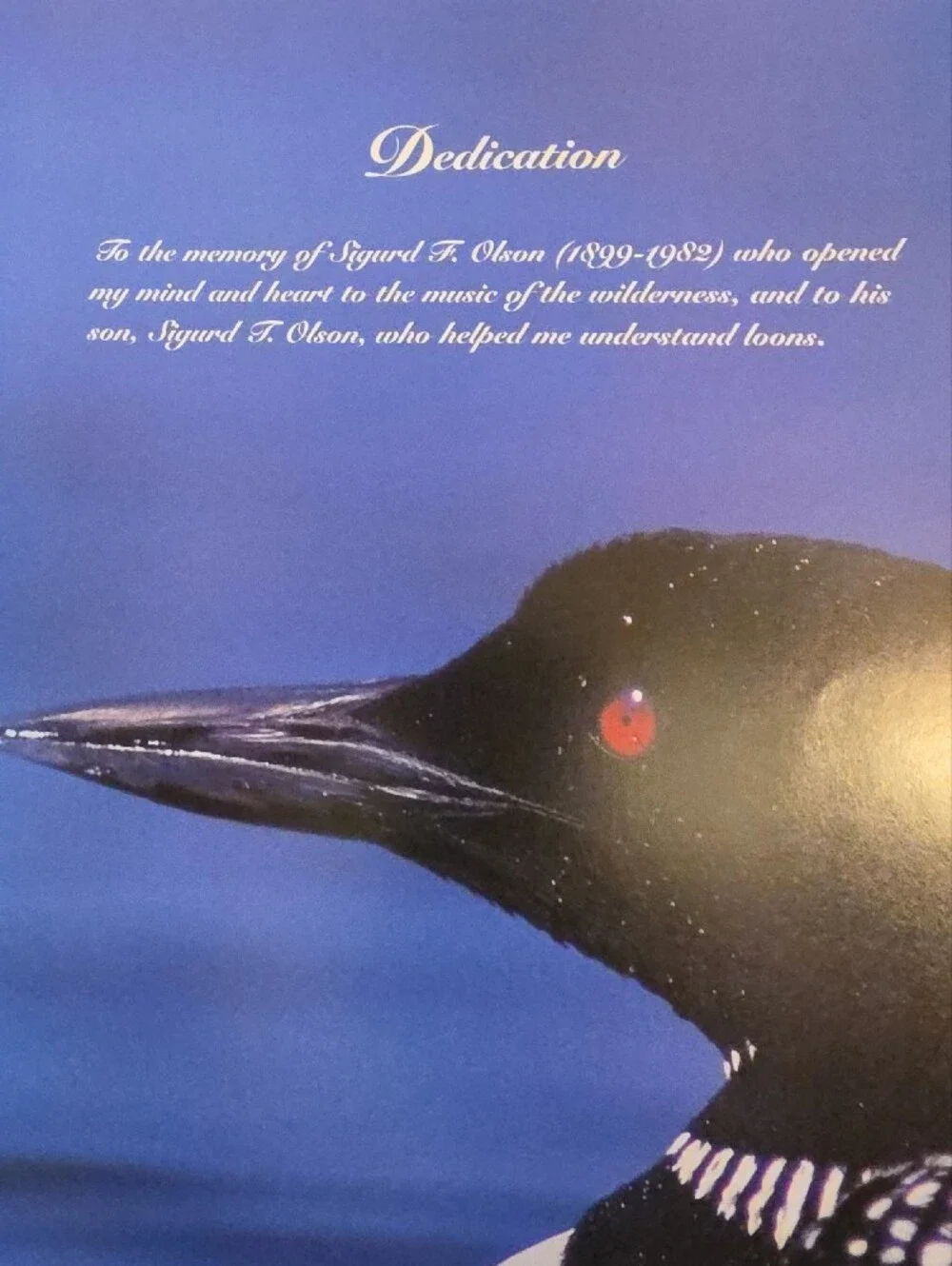 N/A loon magic